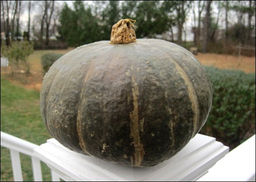Kabocha