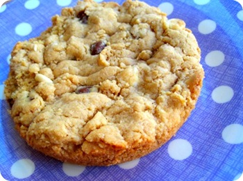 Individual Peanut Butter Chocolate Chip Cookie Cake
