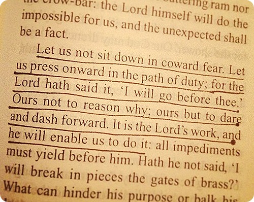 tumblr_mn406lCpnt1s6md8go1_1280