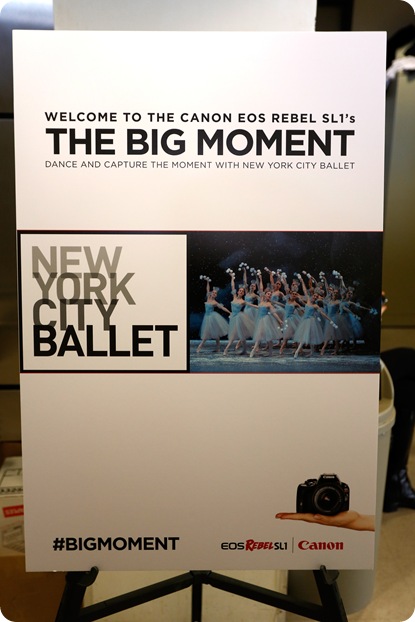 NEW YORK, NY - DECEMBER 11:  General view at Canon's The Big Moment with the New York City Ballet at Lincoln Center for the Performing Arts on December 11, 2013 in New York City.  (Photo by Brian Ach/Getty Images for Canon)