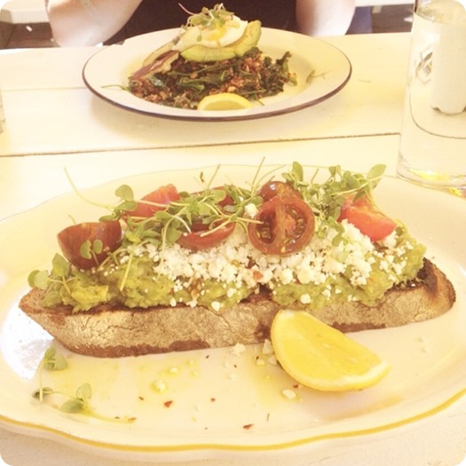 Avocado Toast at St. Balmain, Williamsburg Brooklyn