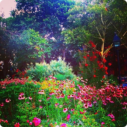 Washington Square Park NYC