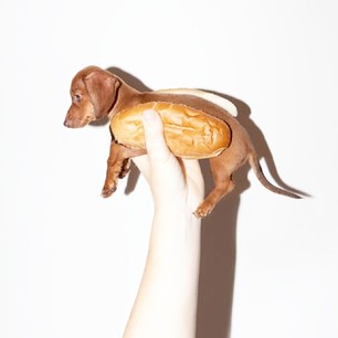 just some Monday cuteness 